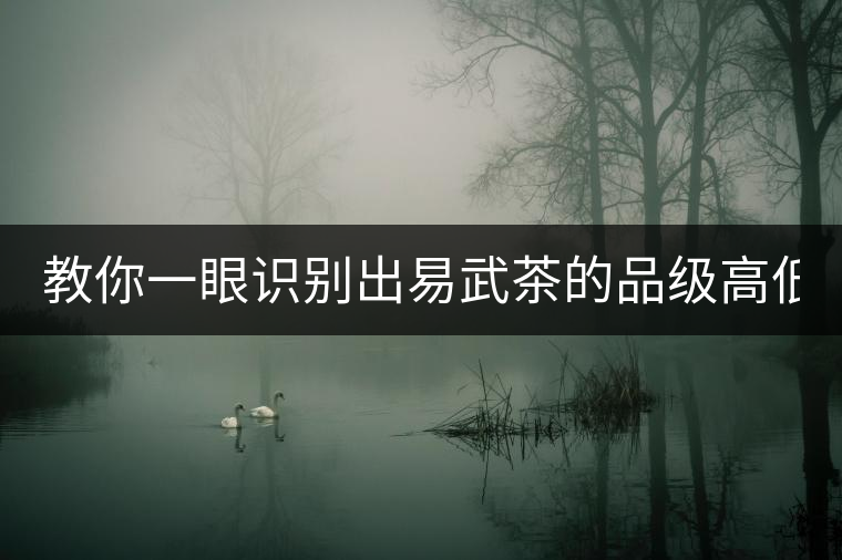 教你一眼識別出易武茶的品級高低！