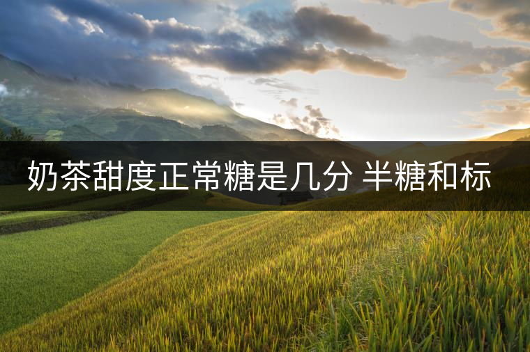 奶茶甜度正常糖是幾分 半糖和標準哪個甜 奶茶甜度正常糖是幾分 半糖和標準哪個甜