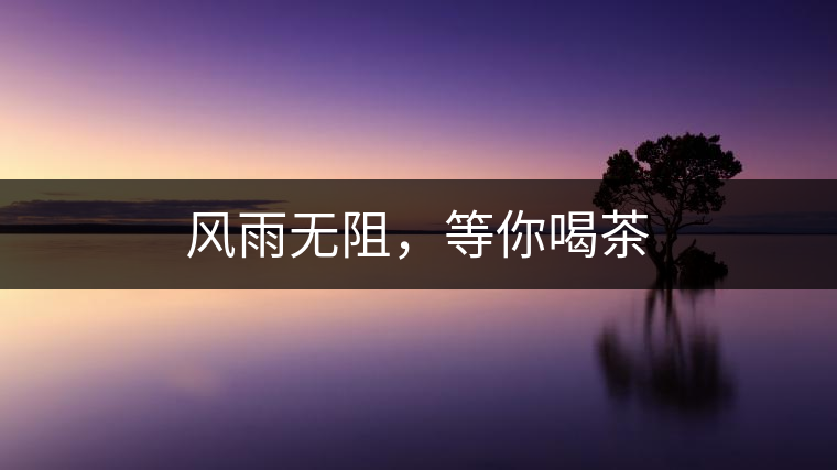 風雨無阻，等你喝茶