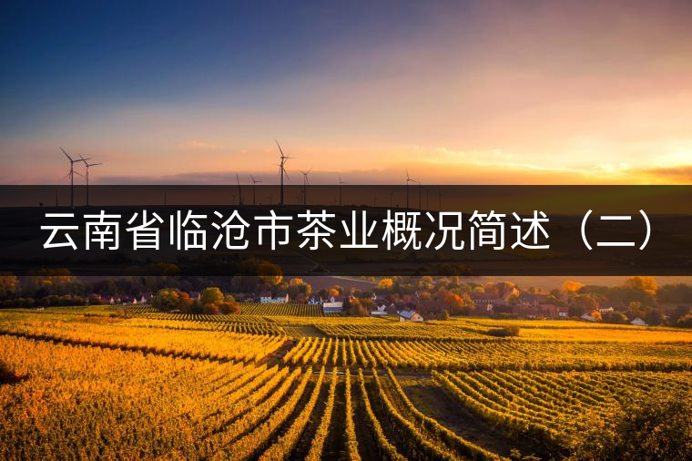 云南省臨滄市茶業(yè)概況簡述（二）