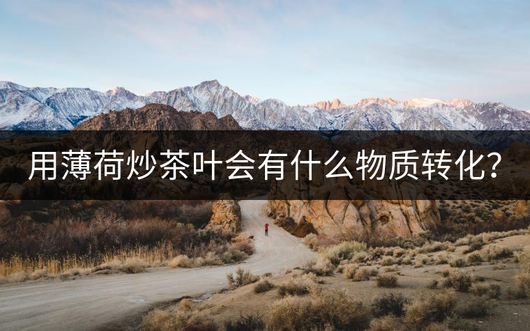 用薄荷炒茶葉會(huì)有什么物質(zhì)轉(zhuǎn)化？