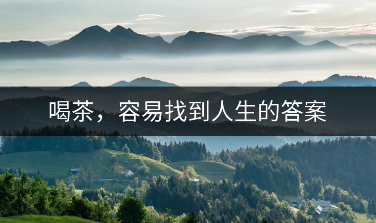 喝茶，容易找到人生的答案