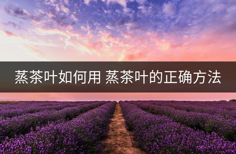 蒸茶葉如何用 蒸茶葉的正確方法 蒸茶葉如何用 蒸茶葉的正確方法