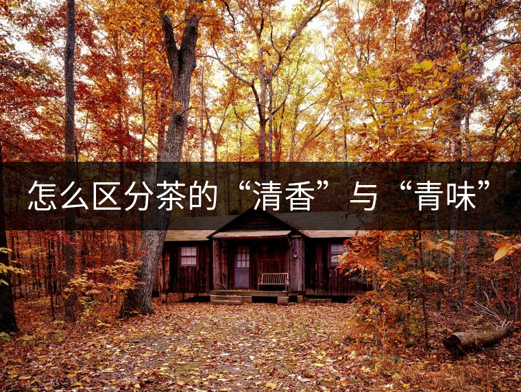 怎么區(qū)分茶的“清香”與“青味”？