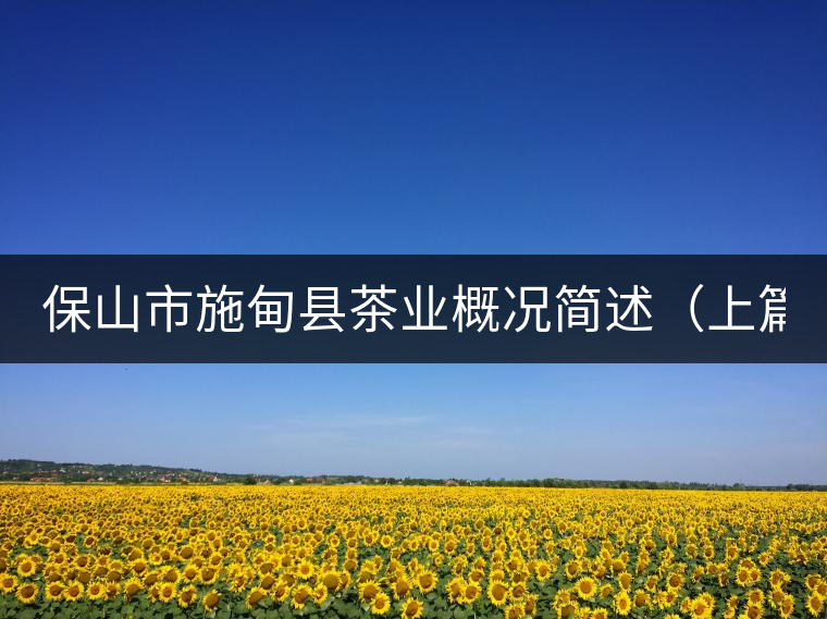 保山市施甸縣茶業(yè)概況簡述(上篇) 保山市施甸縣茶業(yè)概況簡述(上篇)
