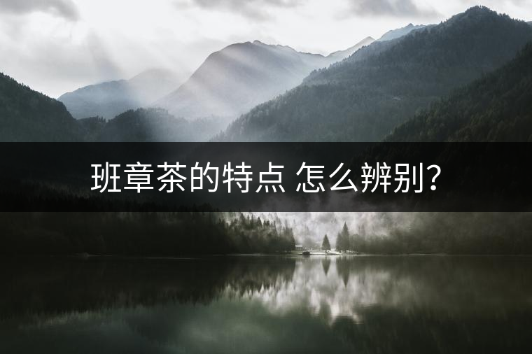 班章茶的特點 怎么辨別？