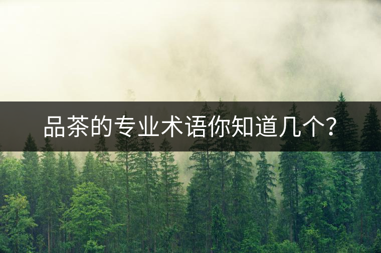 品茶的專(zhuān)業(yè)術(shù)語(yǔ)你知道幾個(gè)？