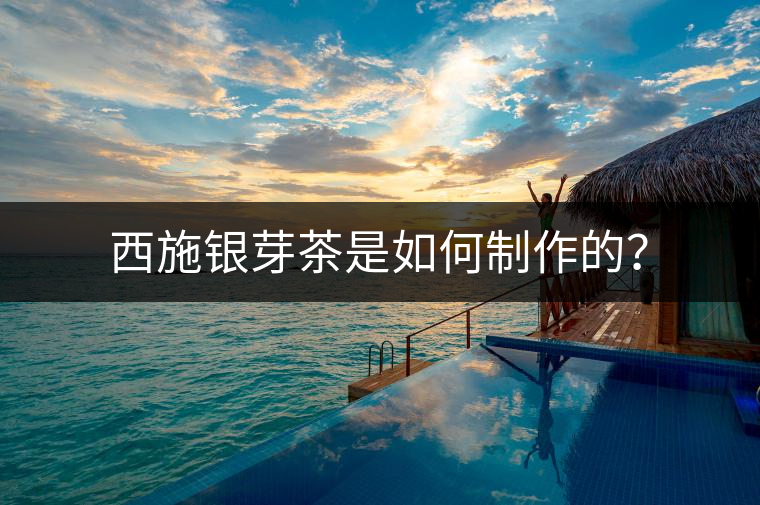西施銀芽茶是如何制作的？