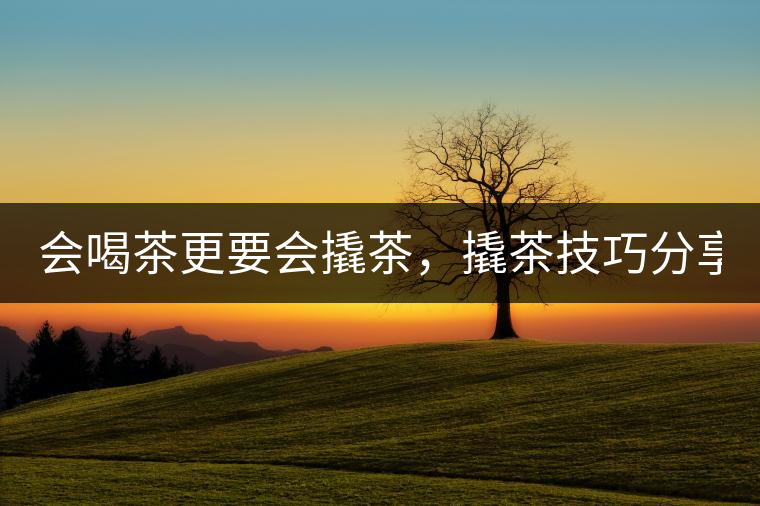 會(huì)喝茶更要會(huì)撬茶，撬茶技巧分享！