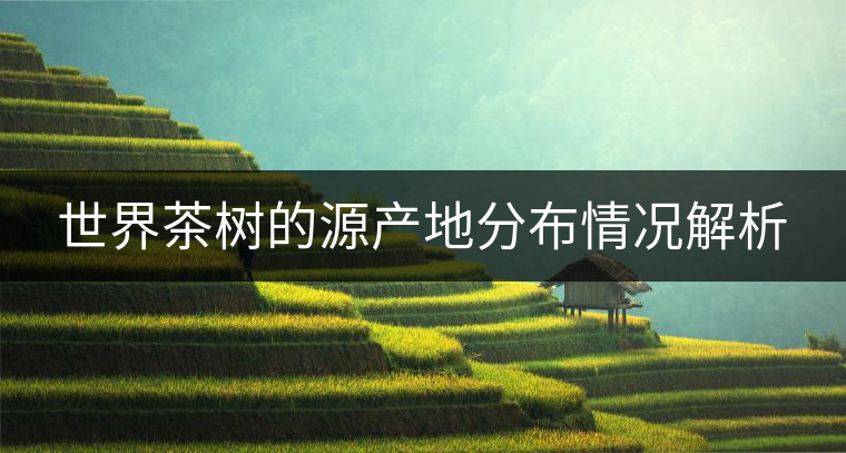 世界茶樹(shù)的源產(chǎn)地分布情況解析 世界茶樹(shù)的源產(chǎn)地分布情況解析