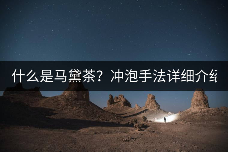 什么是馬黛茶？沖泡手法詳細(xì)介紹！