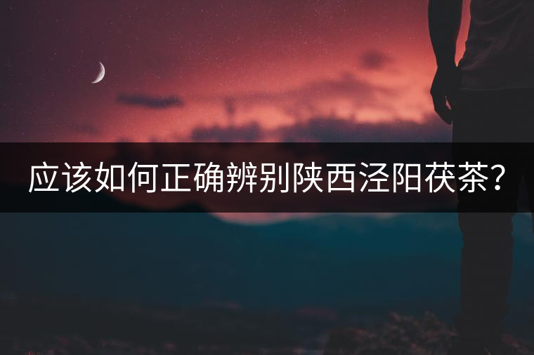 應(yīng)該如何正確辨別陜西涇陽茯茶？