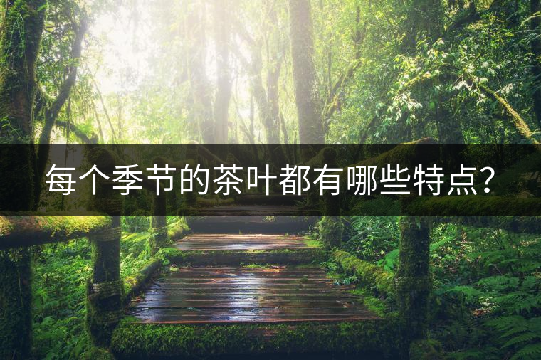 每個(gè)季節(jié)的茶葉都有哪些特點(diǎn)？