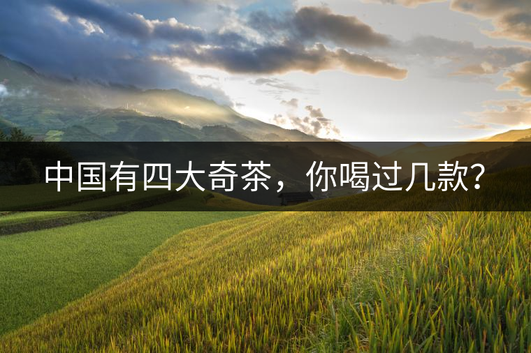 中國有四大奇茶，你喝過幾款？