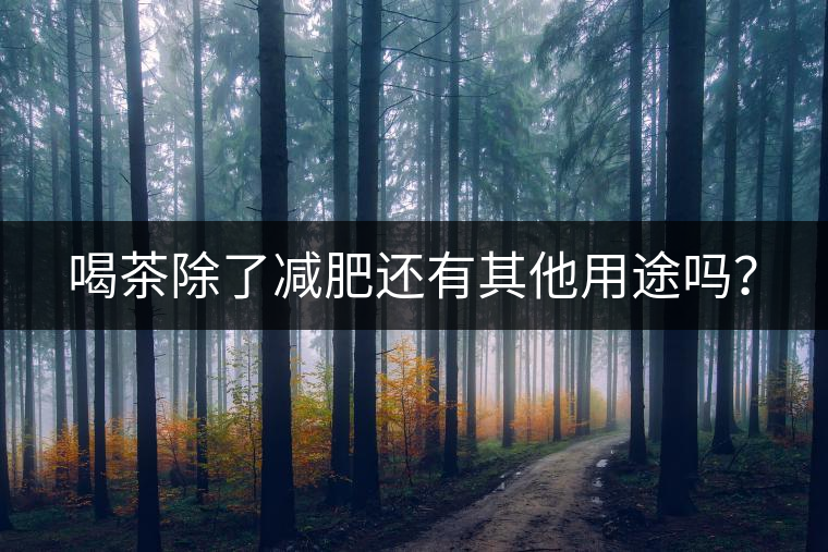 喝茶除了減肥還有其他用途嗎？
