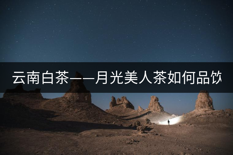 云南白茶——月光美人茶如何品飲？