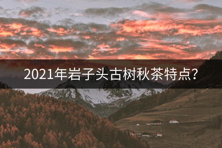 2021年巖子頭古樹秋茶特點？