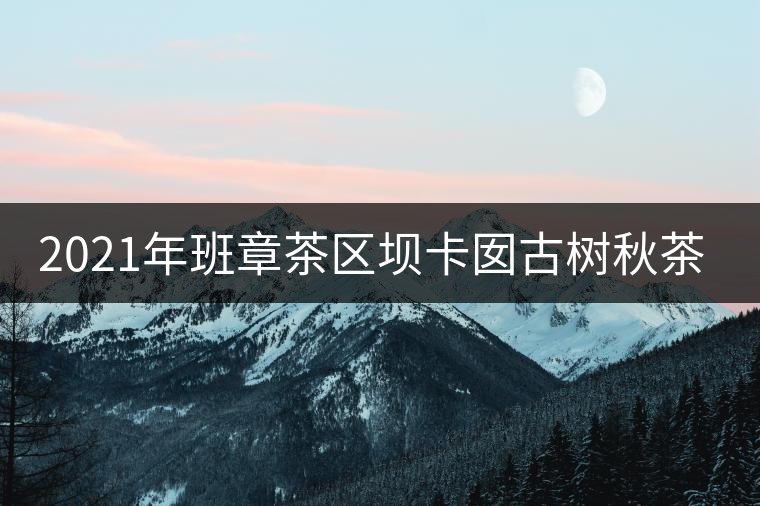 2021年班章茶區(qū)壩卡囡古樹秋茶價(jià)格是多少? 2021年班章茶區(qū)壩卡囡古樹秋茶價(jià)格是多少?