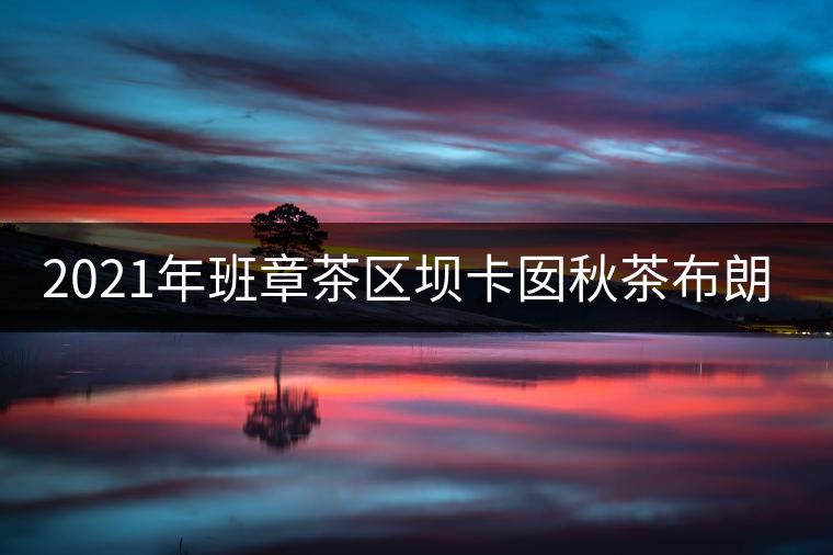 2021年班章茶區(qū)壩卡囡秋茶布朗茶系中的甜茶類！