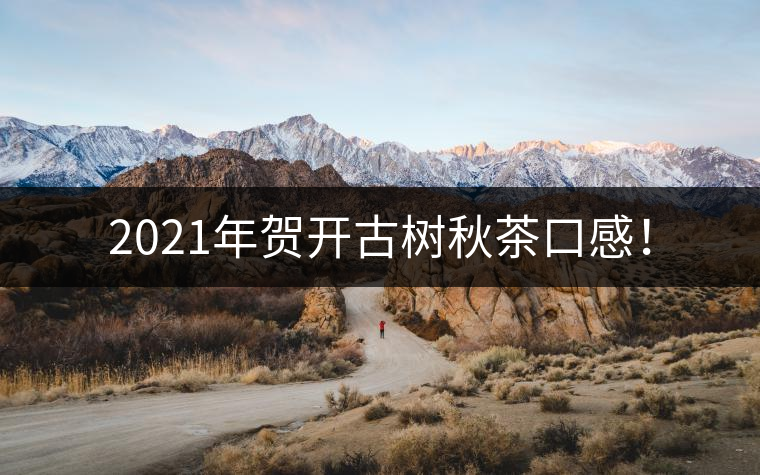 2021年賀開古樹秋茶口感！