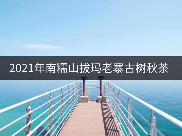 2021年南糯山拔瑪老寨古樹秋茶特點(diǎn)是什么？