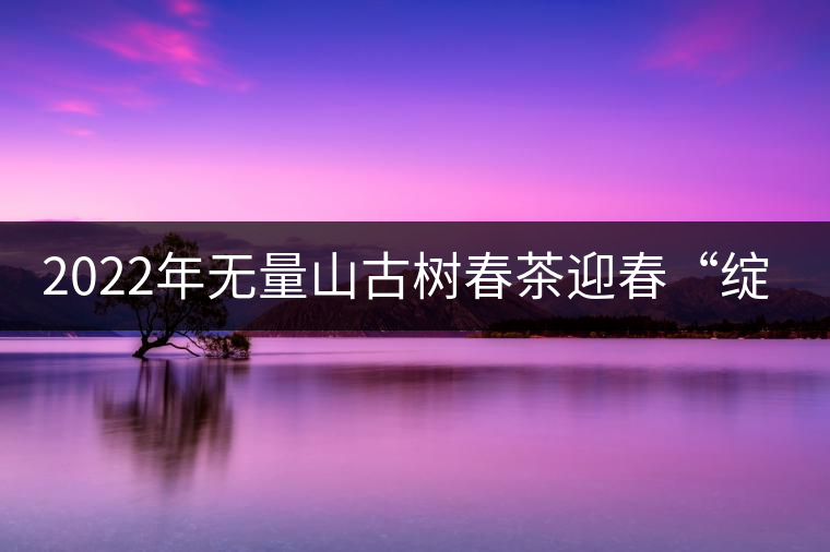 2022年無(wú)量山古樹(shù)春茶迎春“綻放”！