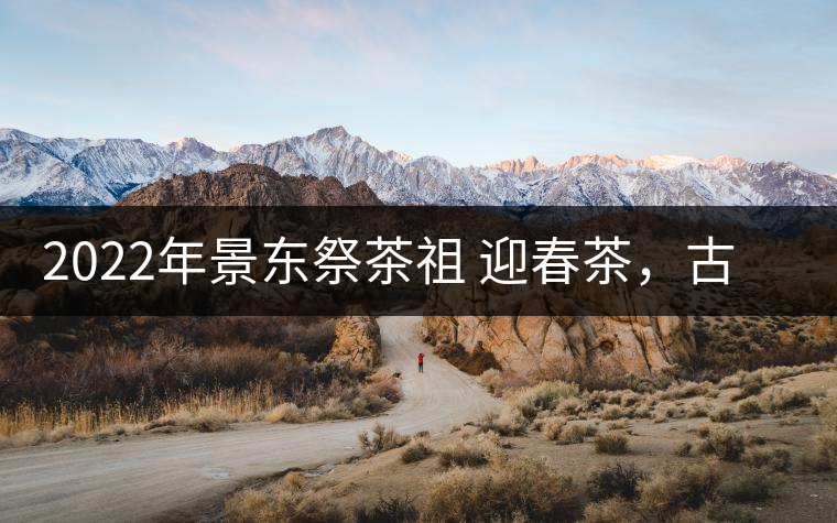 2022年景東祭茶祖 迎春茶，古樹春茶多少錢一公斤？