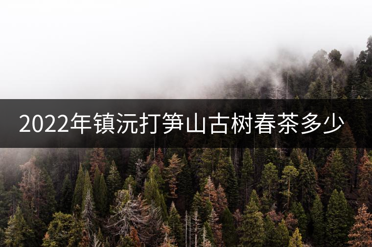 2022年鎮(zhèn)沅打筍山古樹春茶多少錢一公斤？