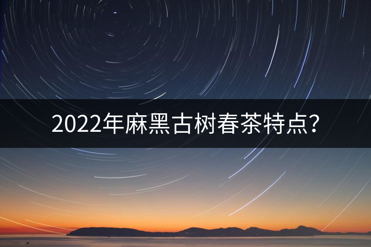 2022年麻黑古樹春茶特點(diǎn)？