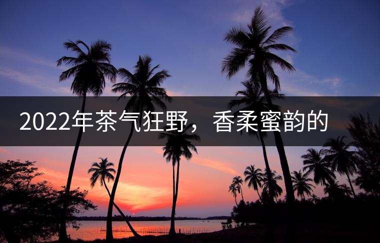 2022年茶氣狂野,香柔蜜韻的刮風(fēng)寨茶坪古樹茶 2022年茶氣狂野,香柔蜜韻的刮風(fēng)寨茶坪古樹茶