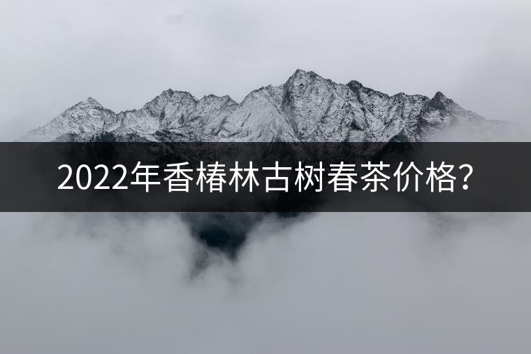 2022年香椿林古樹春茶價格？