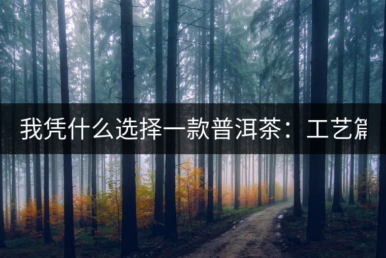 我憑什么選擇一款普洱茶：工藝篇？