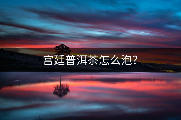 宮廷普洱茶怎么泡？