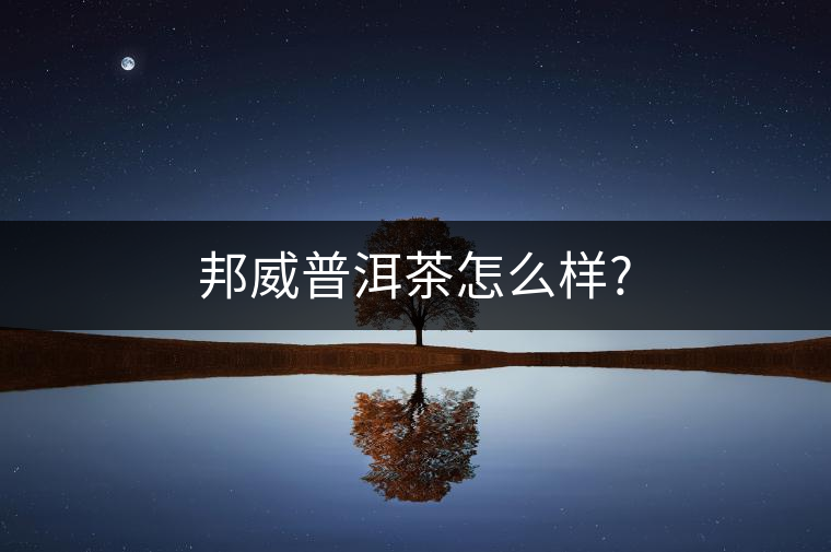 邦威普洱茶怎么樣? 邦威普洱茶怎么樣?