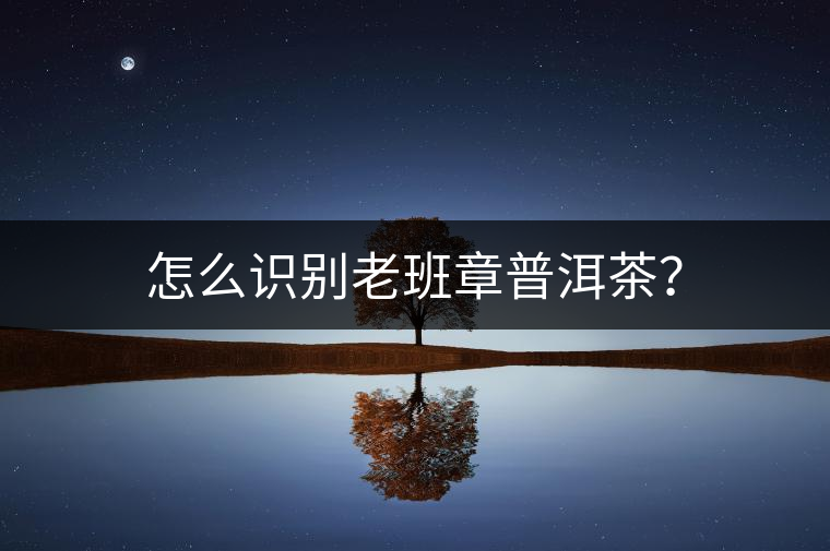 怎么識(shí)別老班章普洱茶？