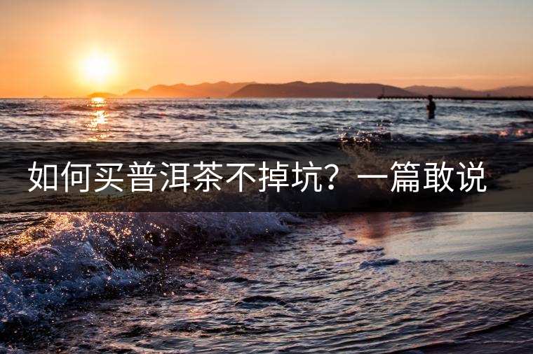 如何買普洱茶不掉坑？一篇敢說(shuō)真話的良心之作。