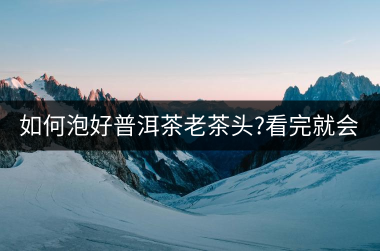 如何泡好普洱茶老茶頭?看完就會泡了!