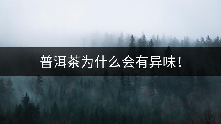 普洱茶為什么會有異味！