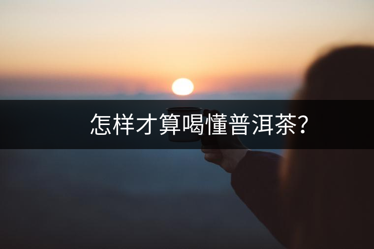 　怎樣才算喝懂普洱茶？