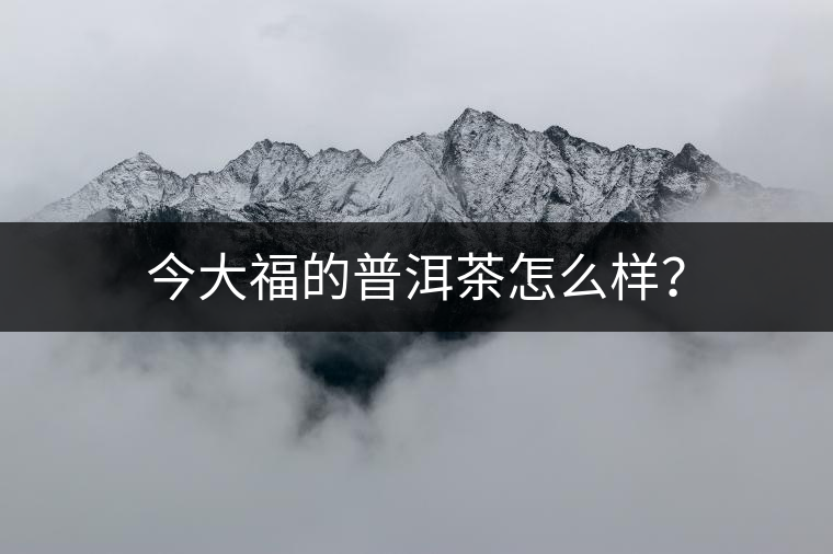 今大福的普洱茶怎么樣？