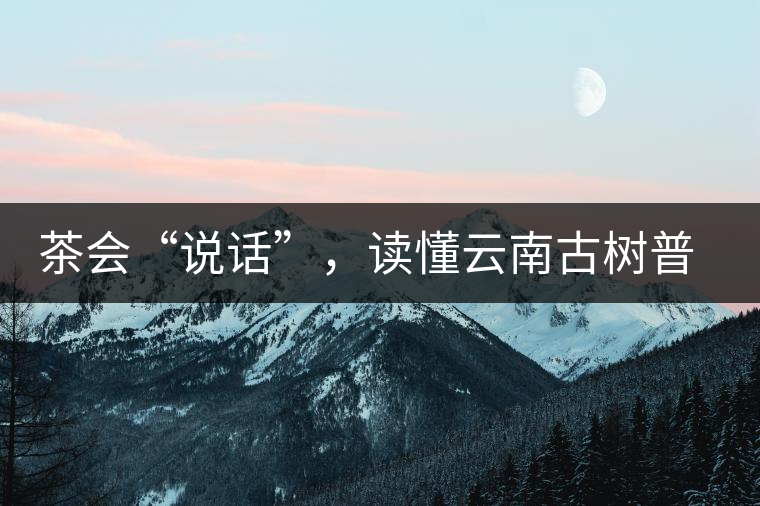 茶會(huì)“說(shuō)話”，讀懂云南古樹普洱茶的秘訣