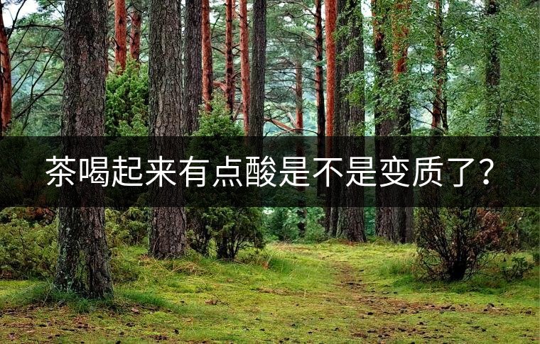 茶喝起來有點酸是不是變質(zhì)了？