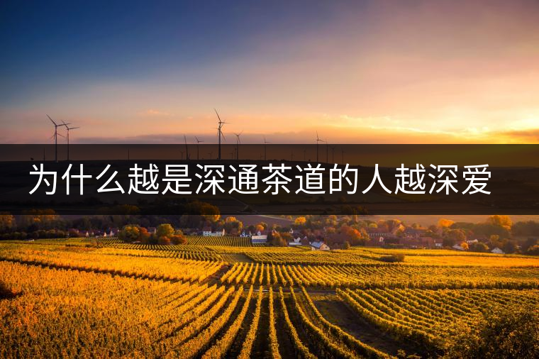 為什么越是深通茶道的人越深愛普洱茶？喜歡普洱茶，有三個原因。