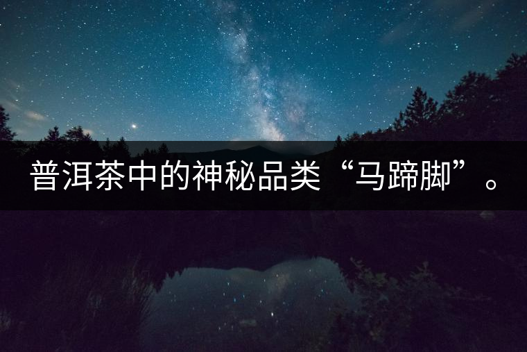 普洱茶中的神秘品類“馬蹄腳”。