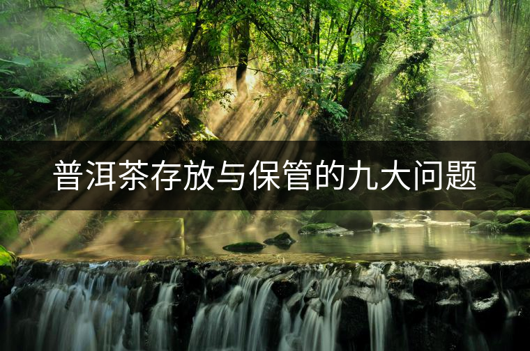 普洱茶存放與保管的九大問(wèn)題