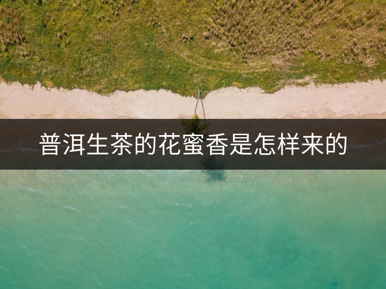 普洱生茶的花蜜香是怎樣來(lái)的 普洱生茶的花蜜香是怎樣來(lái)的
