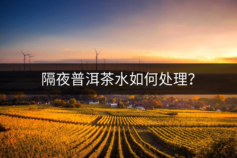隔夜普洱茶水如何處理？