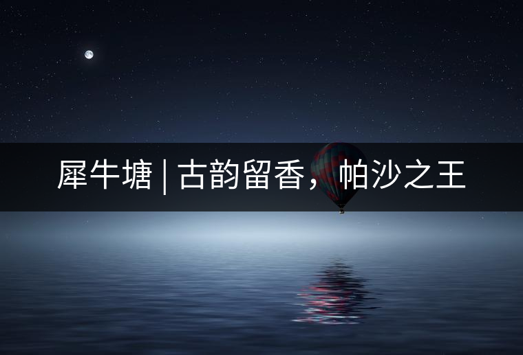 犀牛塘 | 古韻留香，帕沙之王