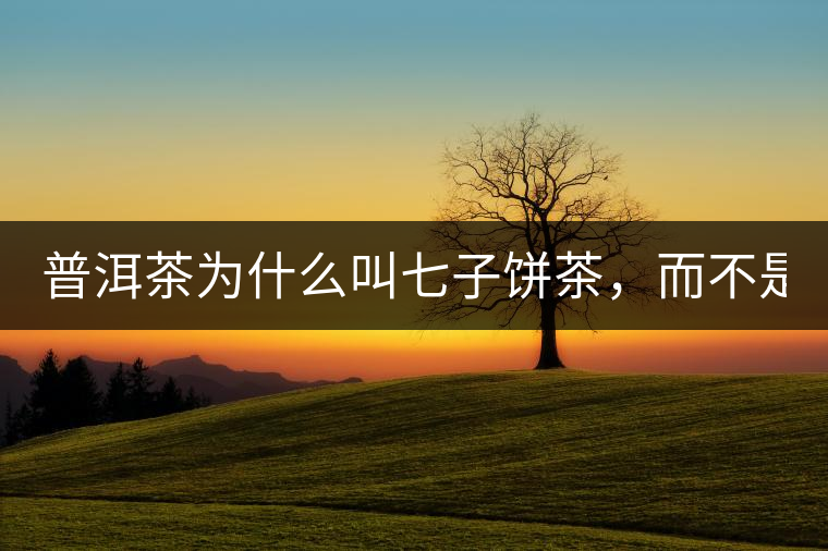 普洱茶為什么叫七子餅茶，而不是六子餅、八子餅......？