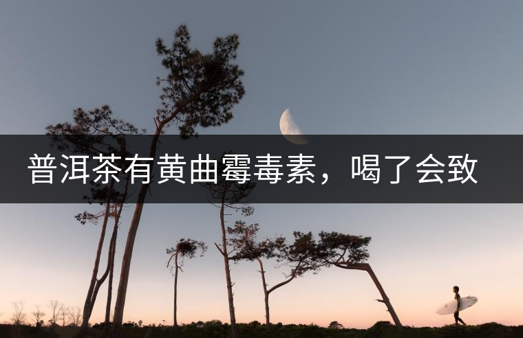 普洱茶有黃曲霉毒素，喝了會(huì)致癌？不黑不吹，咱用事實(shí)說話